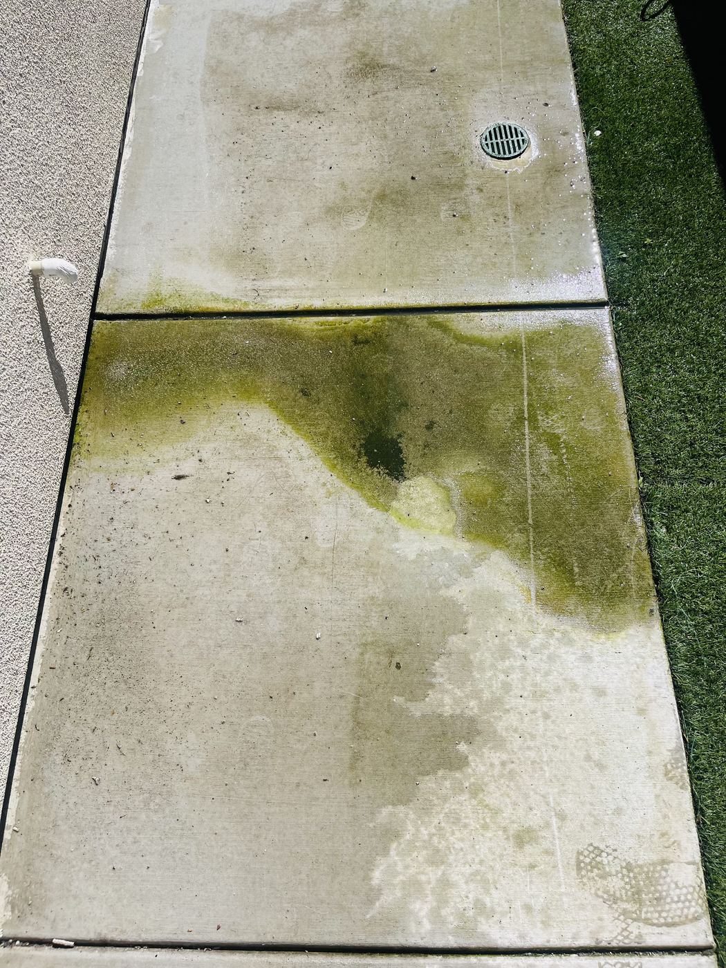 Concrete walkway with algae and grime before pressure washing